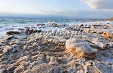 Salinity