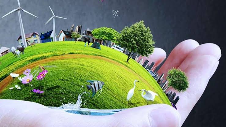 Environmental Management Plan
