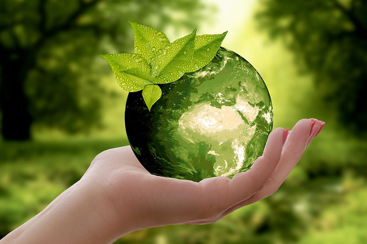 Environmental Statements/Audits
